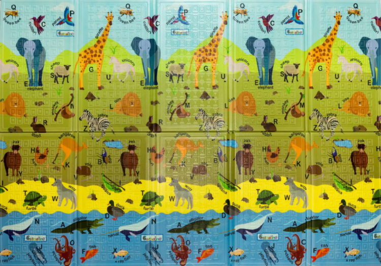 Casmatino_ABC_ANIMAL