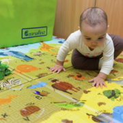 Casmatino ABC ANIMAL